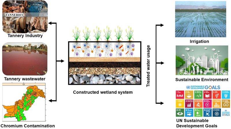 Constructed Wetlands: Pakistan’s Natural Solution for Wastewater ...